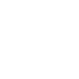 Decimort 2