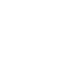 Nexus 2