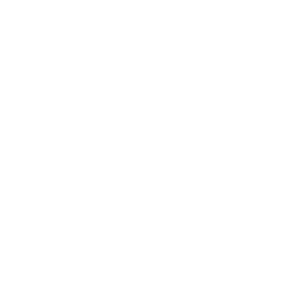 Vocaloid 5